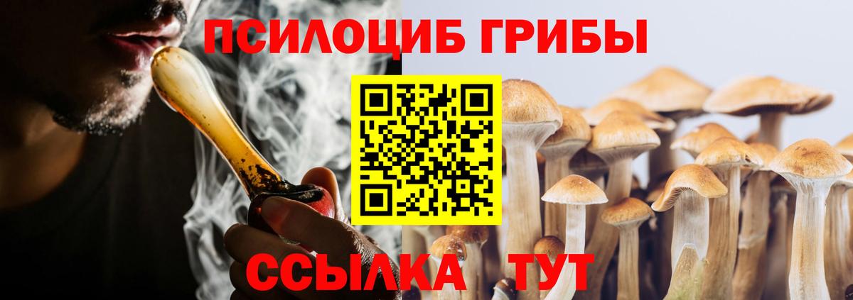 Галлюциногенные грибы ЛСД Каменка